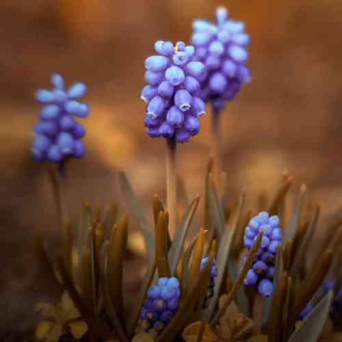علی اکبر موسوی بغضی تو گلومه هوای گریه داره شونه هام